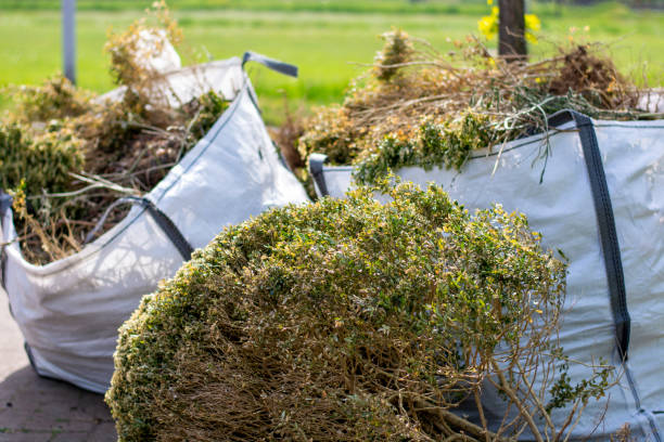 Professional Junk Removal in Pinewood Estates, TX